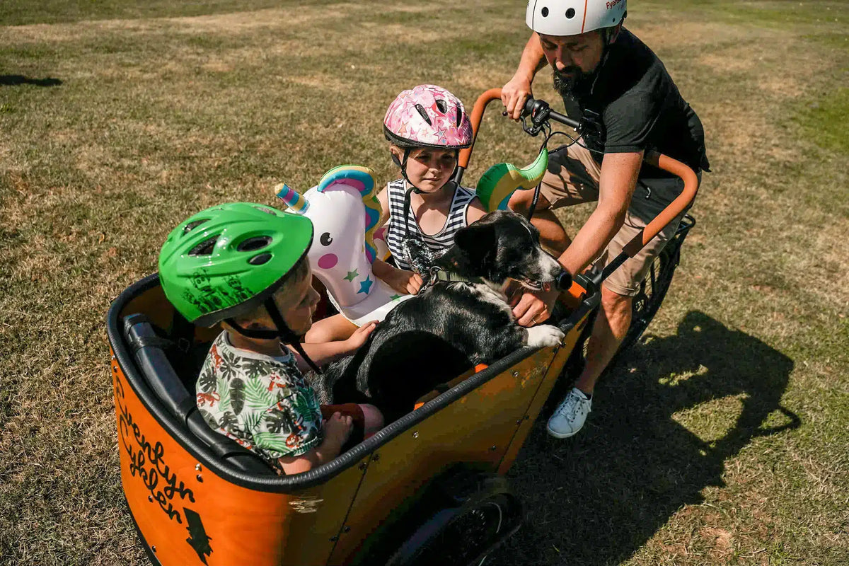 Plads til hele familien i ladcyklen